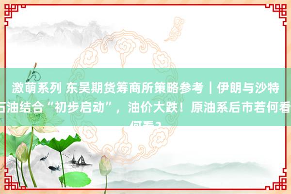 激萌系列 东吴期货筹商所策略参考｜伊朗与沙特石油结合“初步启动”，油价大跌！原油系后市若何看？