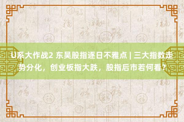 U系大作战2 东吴股指逐日不雅点 | 三大指数走势分化，创业板指大跌，股指后市若何看？