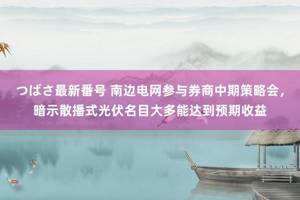 つばさ最新番号 南边电网参与券商中期策略会，暗示散播式光伏名目大多能达到预期收益