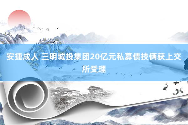 安捷成人 三明城投集团20亿元私募债技俩获上交所受理