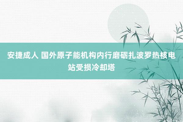 安捷成人 国外原子能机构内行磨砺扎波罗热核电站受损冷却塔