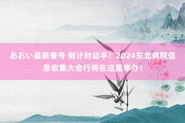 あおい最新番号 倒计时动手！2024东北病院信息收集大会行将在这里举办！