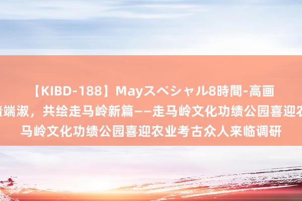 【KIBD-188】Mayスペシャル8時間-高画質-特別編 探寻古功绩端淑，共绘走马岭新篇——走马岭文化功绩公园喜迎农业考古众人来临调研