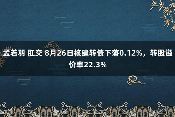 孟若羽 肛交 8月26日核建转债下落0.12%，转股溢价率22.3%