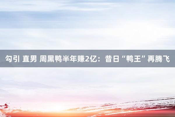 勾引 直男 周黑鸭半年赚2亿：昔日“鸭王”再腾飞